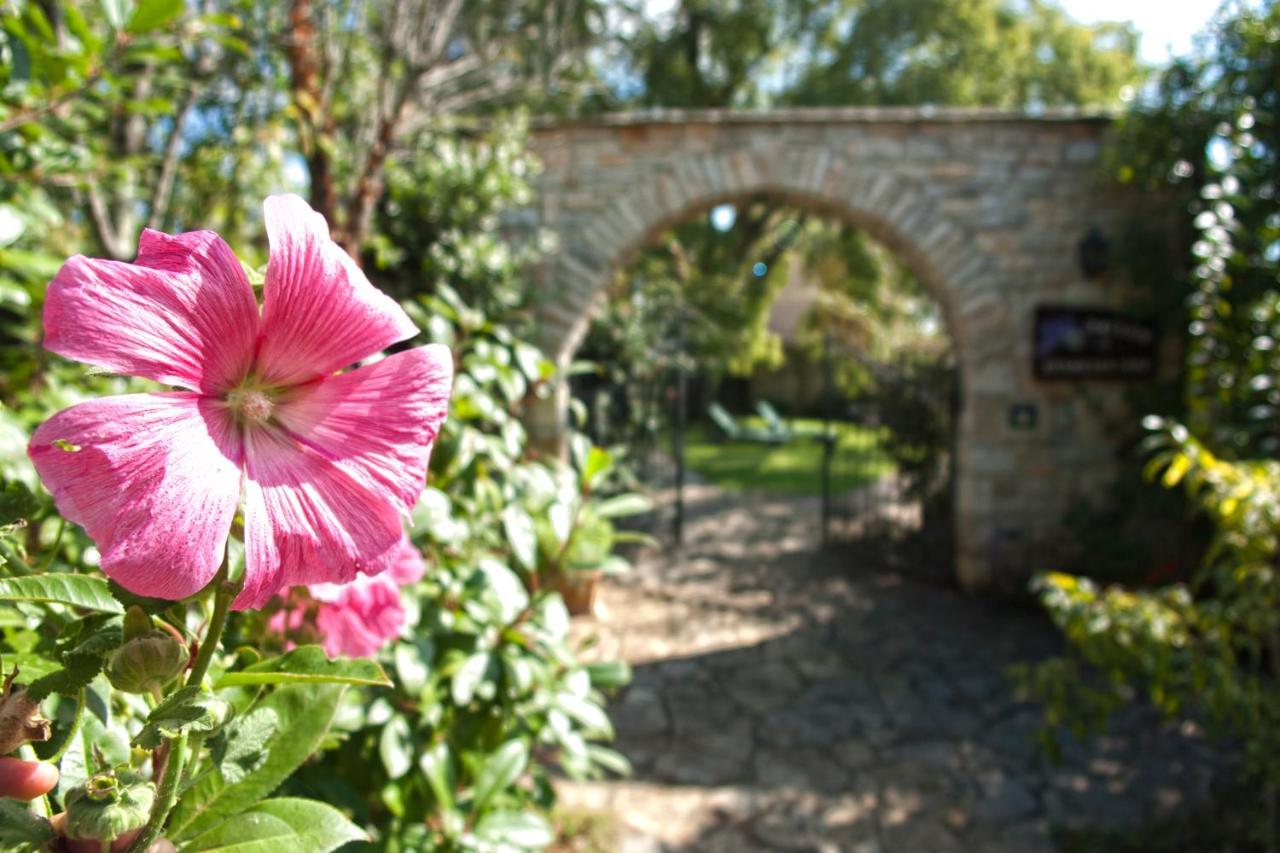 Boutique B&B Stancija 1904 Adults Only Svetvinčenat 외부 사진