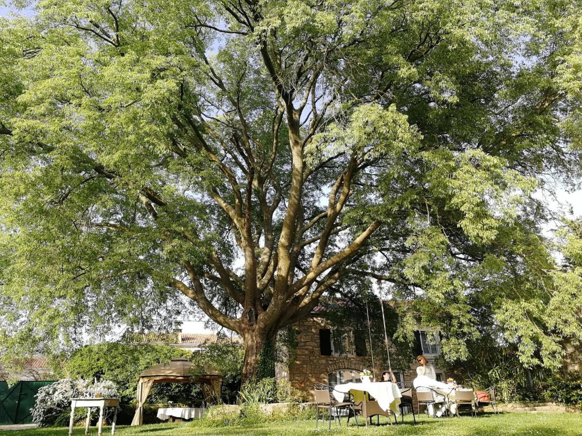 Boutique B&B Stancija 1904 Adults Only Svetvinčenat 외부 사진